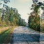 SC Road 402 (Mepkin Abbey Rd.)