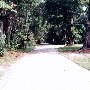Johns Island Roads