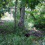 Landsford Canal State Park