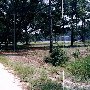 Dirt Road (on Moore Property)