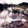 Pond off SC RD 235