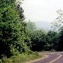 Sumter National Forrest