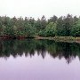 Ripley Retreat