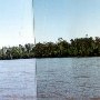 Santee River (near Diversion Canal)