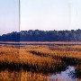 Marshes Behind Howard Johnson