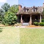 Whitehaven Plantation
