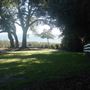 Alhambra Park - January Look