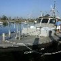 Senior Harbour Pilot
