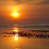 Kiawah Island