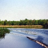 Combahee River