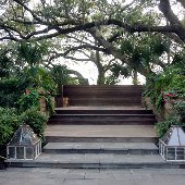 Kiawah Island - Sasanqua (Spa)