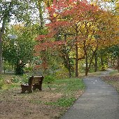 McPherson Park - Fall 2007