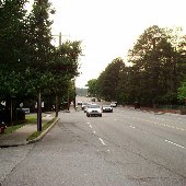 Forest Drive