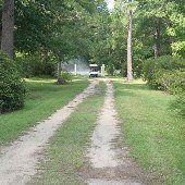 Back Woods Quail Club