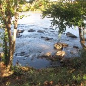 Cayce Riverwalk - Fall Looks