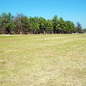 Owens Field Park