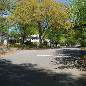 Duncan Street to Ravenel to Ott