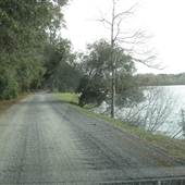 Oakland Plantation - Dock & House in Spring