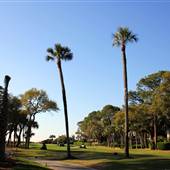 Hilton Head - Sea Pines Resort (Ocean Course)