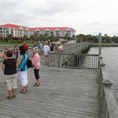 Charleston Harbor Resort & Marina Complex