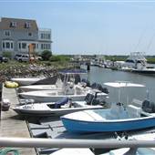 Toler's Cove Marina