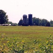 Boyd Farms