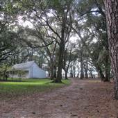 Friendfield Plantation - Grounds Near House
