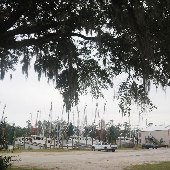 Carolina Seafood Docks