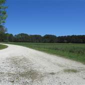 Fields at Wando Farms Springtime