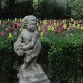 Magnolia Plantation and Gardens MAY LOOKS  - Flowerdale