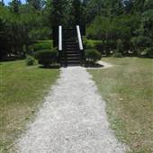 Magnolia Plantation & Gardens - Horticultural Maze