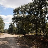 Wilson Cemetery Road
