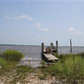 Campbell Dock