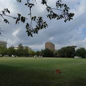 The Horse Lot Park