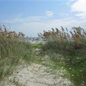 Sullivan's Island - Front Beach Houses
