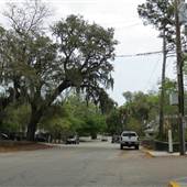 Royall Avenue - Old Village Mt. Pleasant