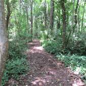Oyster Factory Park TRAILS