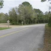 James Island County Park - Stono Shelter
