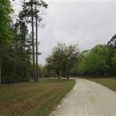 The Blessing Plantation - Late March / Early April Looks & Drive