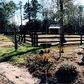Sea Horse Plantation