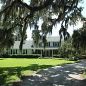 Toogoodoo Plantation