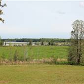 Bonneau Ferry Wildlife Management Area