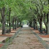 Charleston Waterfront Park - February