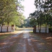 Pineland Plantation (Overview)