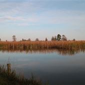 Harrietta Plantation Dec 2017 - East Dikes