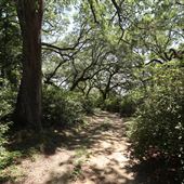 Millbrook Plantation - The Bridge Over the Pond Area