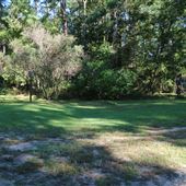 Middleton Place Back Roads - Late October 2018