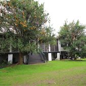 Point of Pines - Maybank - January 2019 - Grounds around Main House