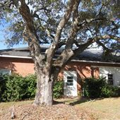 Former Sullivan's Island Town Hall & Police Station