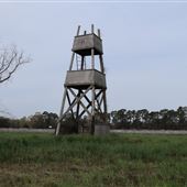 Boone Hall Plantation - Back Meadow (March 2019)